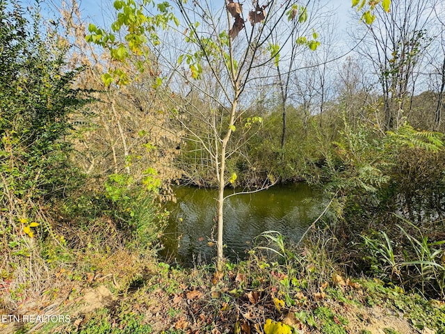 Listing photo 3 for 0 Clear Creek Rd, Newport TN 37821