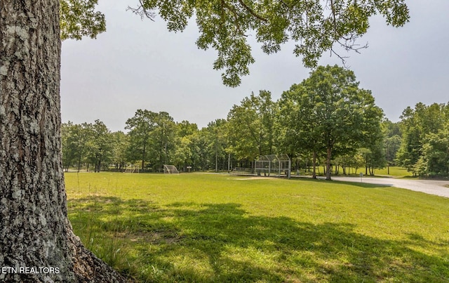 view of home's community featuring a yard