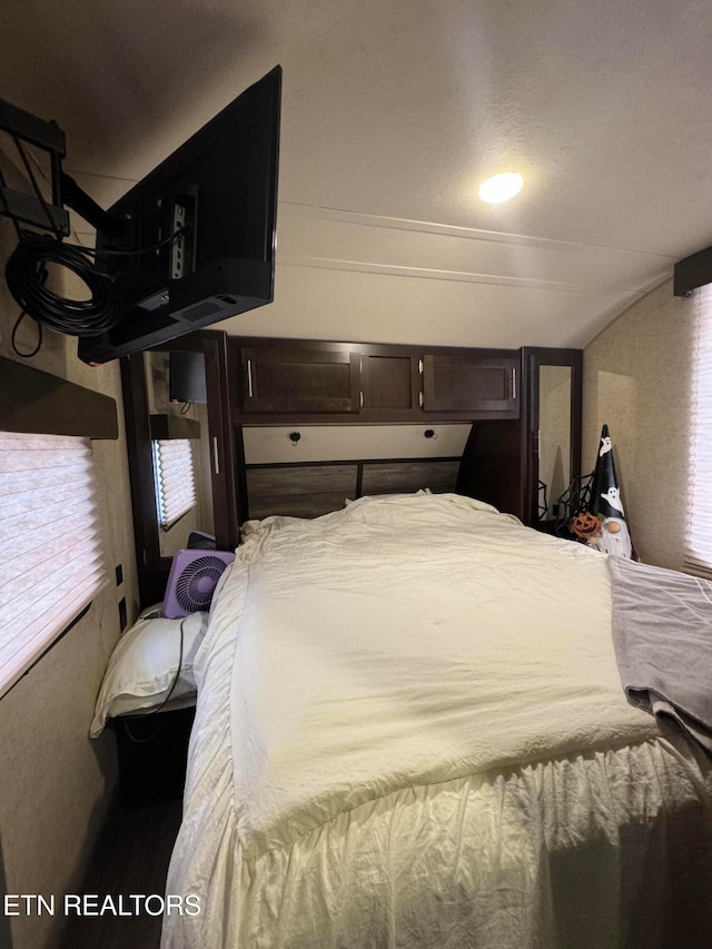 bedroom featuring multiple windows and vaulted ceiling