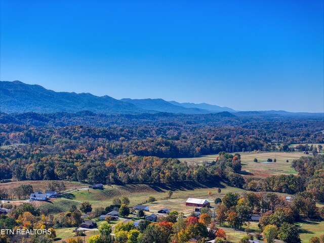 drone / aerial view featuring a mountain view