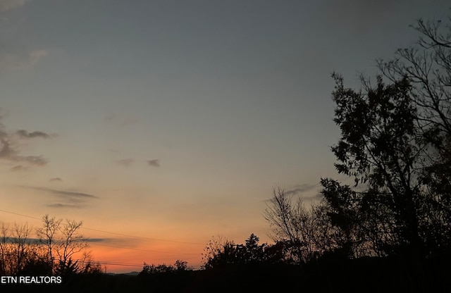 view of nature at dusk