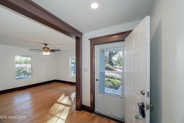 622 Fern St, Knoxville, TN 37914 - photo 3