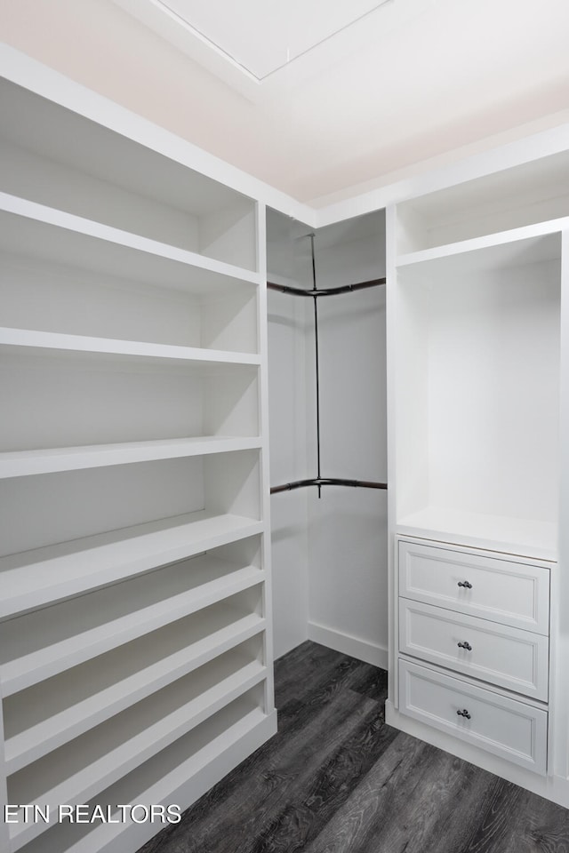 walk in closet with dark hardwood / wood-style flooring