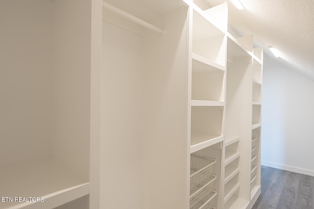 walk in closet featuring dark hardwood / wood-style floors