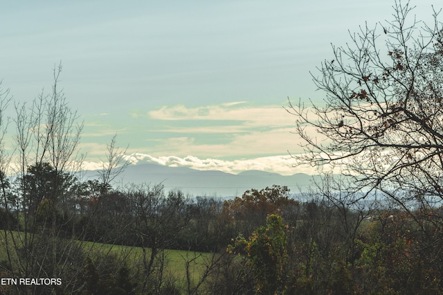 nature at dusk with a mountain view