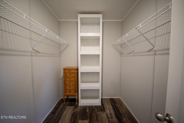 walk in closet featuring dark wood-type flooring