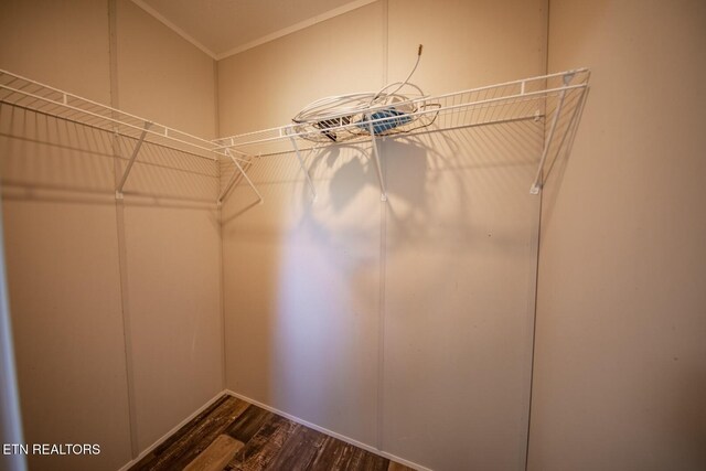 spacious closet with dark hardwood / wood-style floors