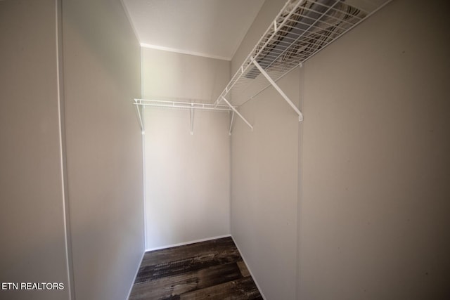 walk in closet featuring dark hardwood / wood-style floors