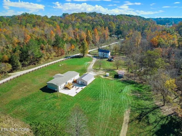 bird's eye view