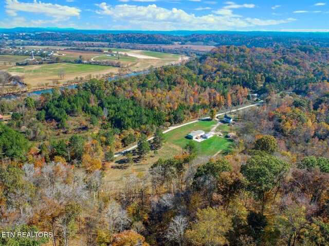 drone / aerial view