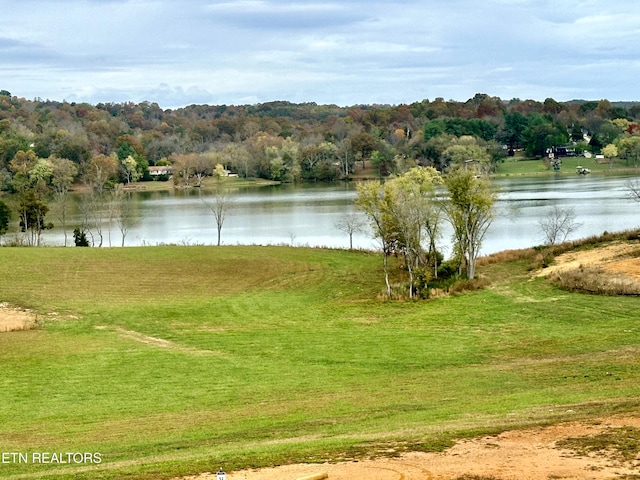 149 River Watch Way, Loudon, TN 37774 - photo 13