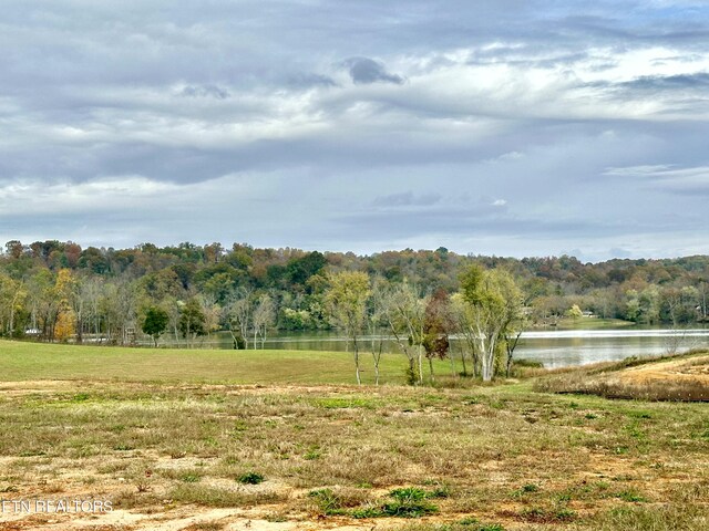 149 River Watch Way, Loudon, TN 37774 - photo 15