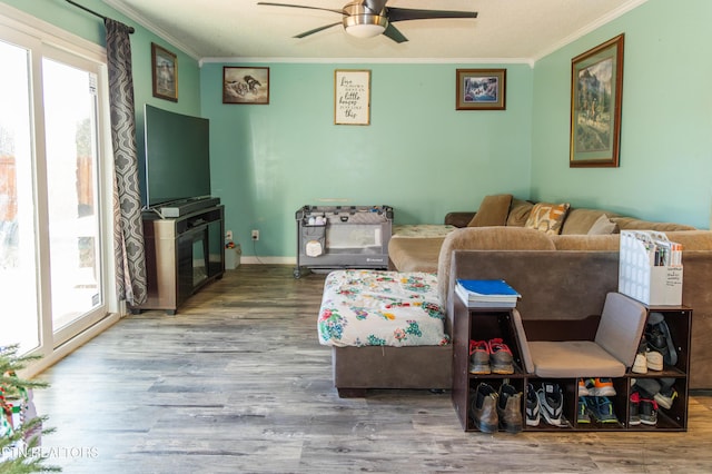 living room featuring ceiling fan, crown molding, and wood-type flooring