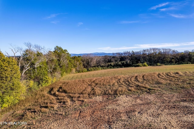 351 Meadow Rd, Greenback TN, 37742 land for sale