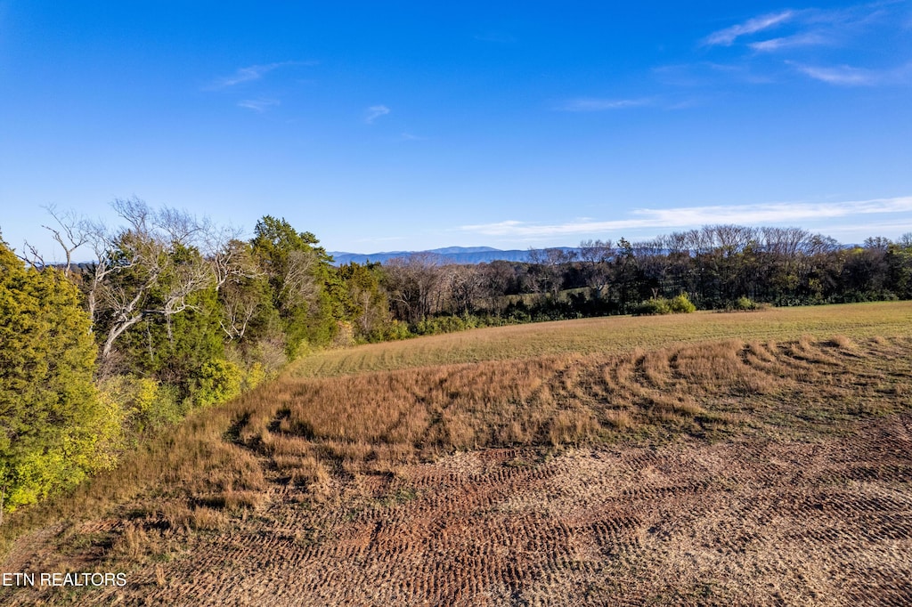 351 Meadow Rd, Greenback, TN 37742 - photo 1
