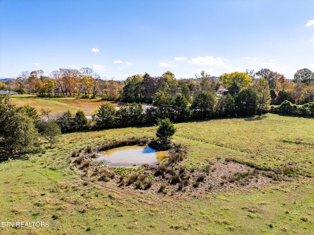 view of yard with a water view