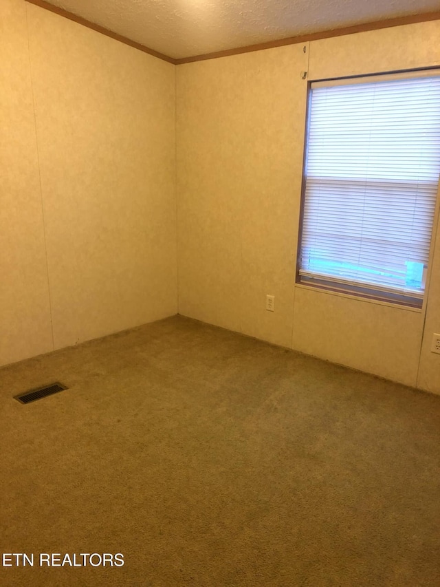 spare room featuring carpet and a textured ceiling