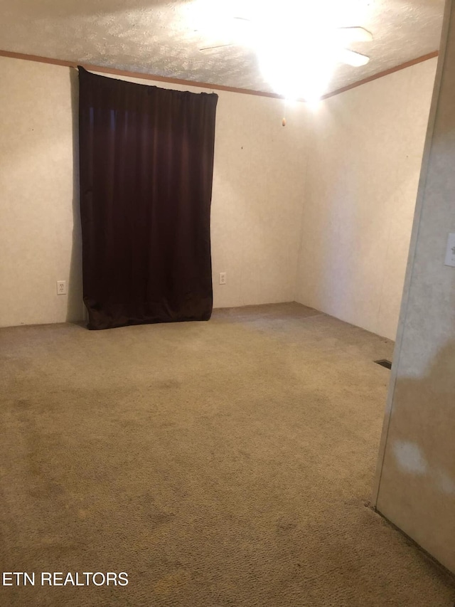 empty room with a textured ceiling, light carpet, and crown molding