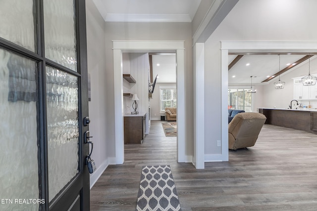 entryway with dark wood-type flooring, a wealth of natural light, and ornamental molding