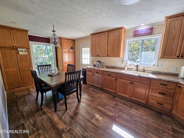 kitchen featuring plenty of natural light, sink, and dark hardwood / wood-style floors