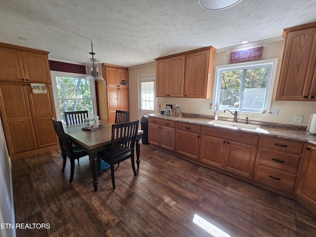 kitchen with plenty of natural light, dark wood-type flooring, and sink