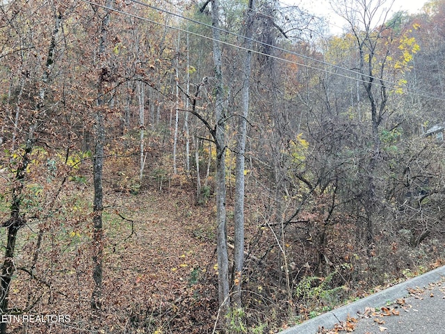 Pulaski Ln, Sevierville TN, 37862 land for sale