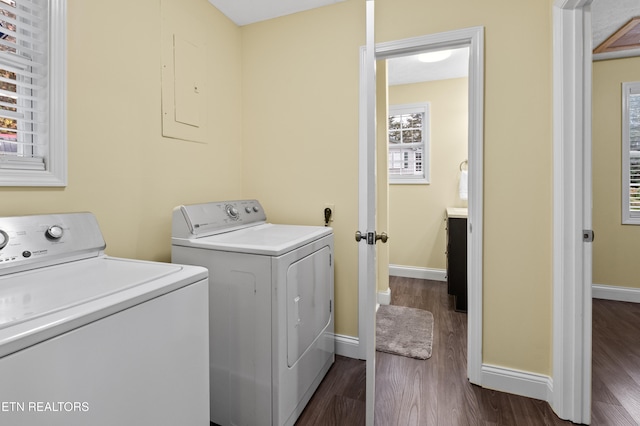 laundry area with washing machine and dryer, dark hardwood / wood-style floors, plenty of natural light, and electric panel