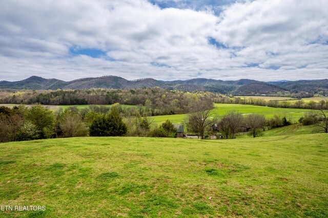 400 Scott Mansion Rd, Tellico Plains, TN 37385 - photo 45