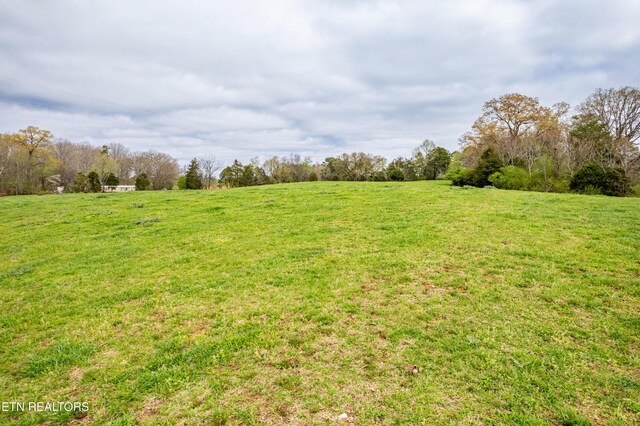 400 Scott Mansion Rd, Tellico Plains, TN 37385 - photo 48