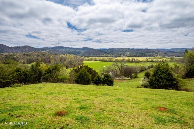 400 Scott Mansion Rd, Tellico Plains, TN 37385 - photo 49