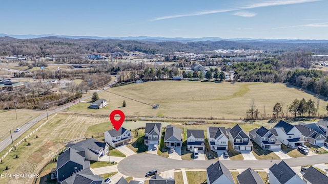 1504 Spring Berry Ln, Knoxville, TN 37924 - photo 41