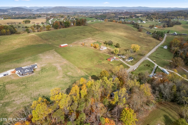 birds eye view of property featuring a mountain view and a rural view