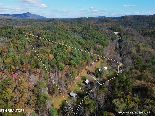 birds eye view of property featuring a mountain view