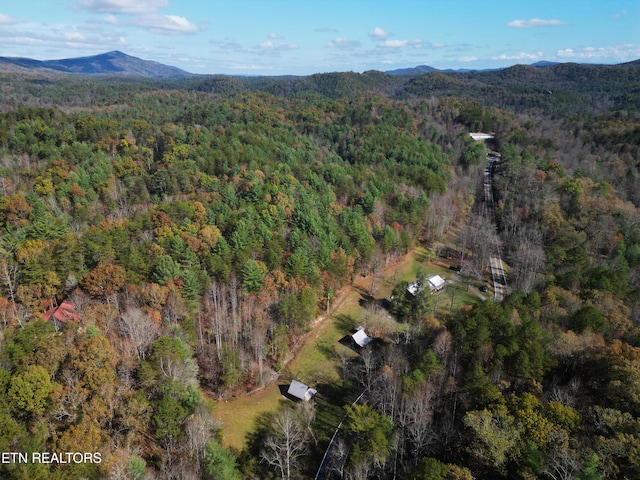 bird's eye view with a mountain view