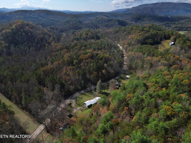 drone / aerial view featuring a mountain view