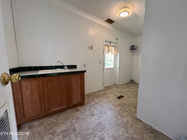 interior space with a textured ceiling, ornamental molding, and sink