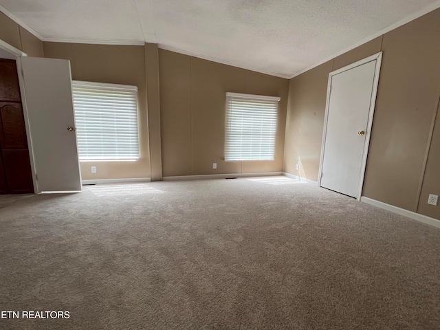 carpeted spare room featuring a textured ceiling, a healthy amount of sunlight, and vaulted ceiling