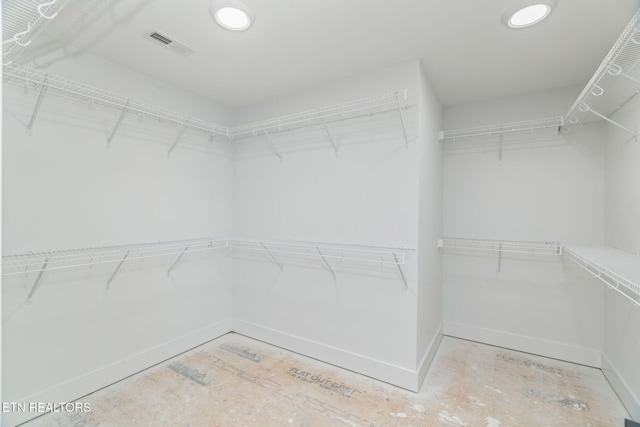 2210 Hickory Crest Ln, Knoxville, TN 37932 - view of walk in closet