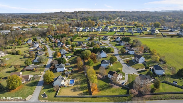 drone / aerial view