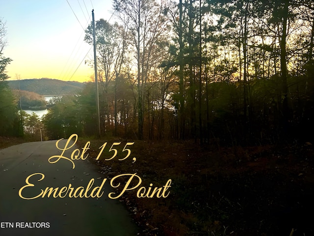 Listing photo 3 for LOT155 Emerald Pt, Sharps Chapel TN 37866