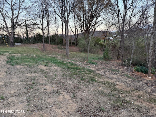 view of yard at dusk