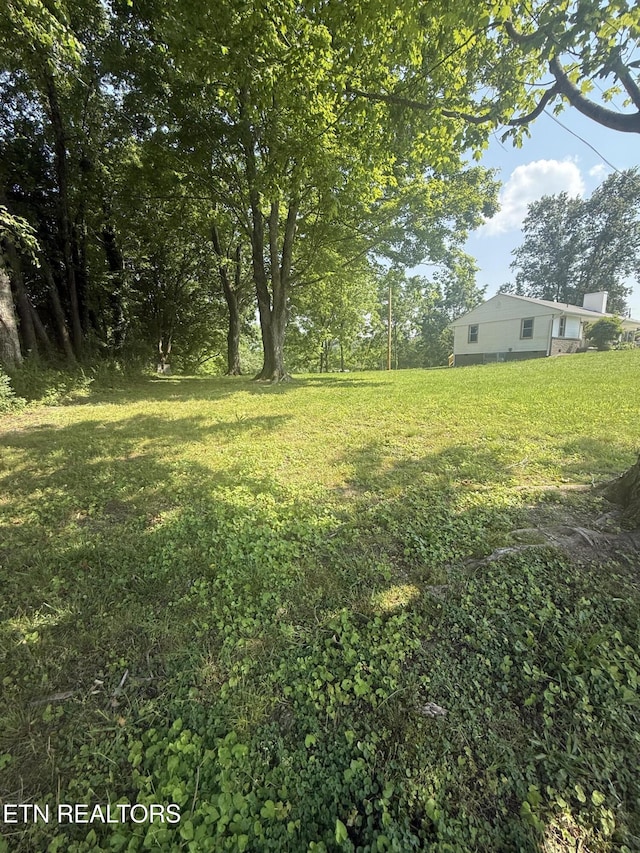 1184 Davis Chapel Rd, Lafollette, TN 37766 - view of green lawn