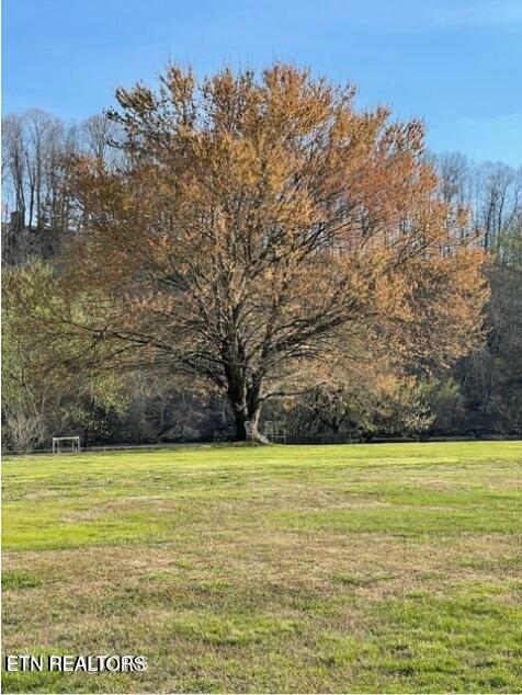 0 Holston Shores Dr, Rutledge, TN 37861 - photo 5