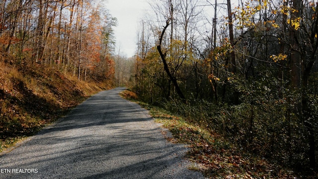 0 Red River Rd, Englewood, TN 37329 - photo 2