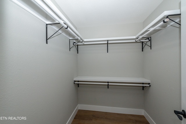 6105 Lanier Rd, Maryville, TN 37801 - walk in closet featuring wood finished floors