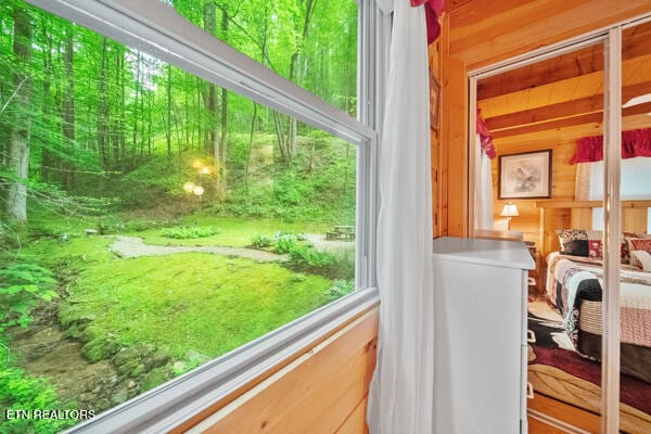 doorway featuring a wealth of natural light and wooden walls