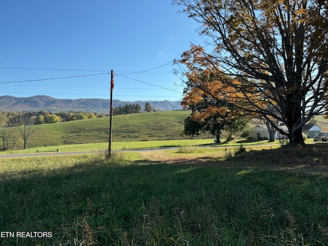 view of yard with a mountain view and a rural view