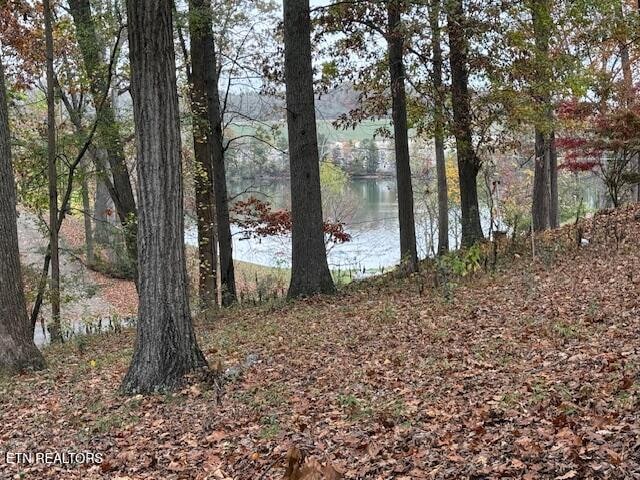 Listing photo 2 for Lakewood Rd, Kingston TN 37763