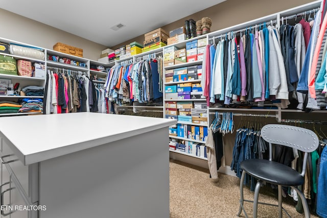 view of walk in closet