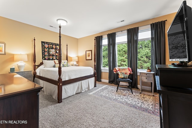 1144 Andalusian Way, Knoxville, TN 37922 - view of carpeted bedroom